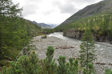 Fototapeta na wymiar The river in mountains of Yakutia.