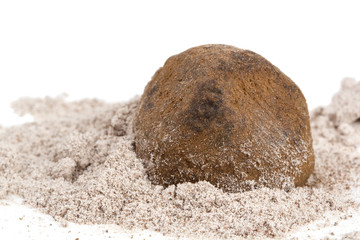 Fototapeta na wymiar Chocolate truffle