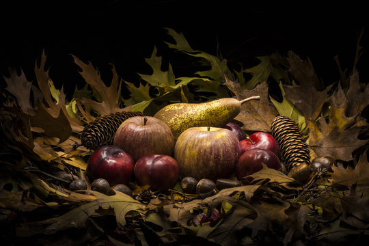 Autumnal still life composition with apples, pear and prunes