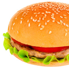 Big hamburger on white background