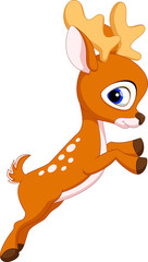 Cute baby deer cartoon jumping