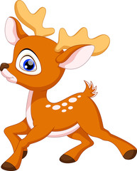 Cute baby deer cartoon