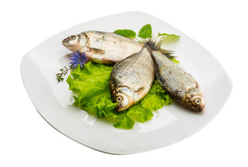 Crucian fish