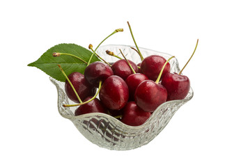 Gean - cherry