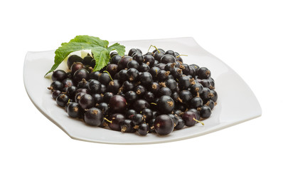 Black currant