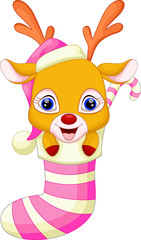 cute baby deer in the socks with christmas red hat