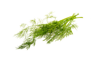 Dill branch