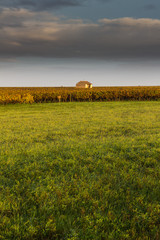 maison au milieu des vignes