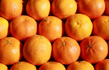 Orange fruit background in the market