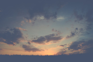 dramatic sunset over grass in vintage style