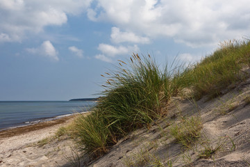 Fototapeta na wymiar Strandhafer auf dem Darß