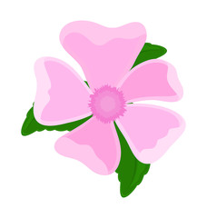 Pink Flower Element Drawing