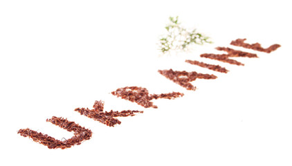 Concept of Ukrainian Resistance