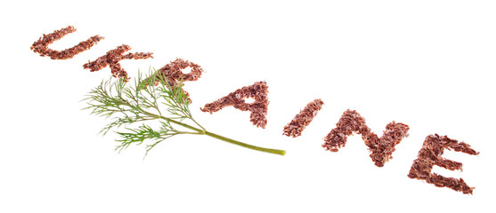 Symbolic Writing of Ukraine Country Name