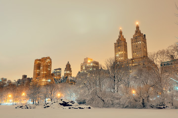Central Park winter - obrazy, fototapety, plakaty