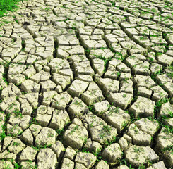 Seasoned dam in Brno, Czech Republic