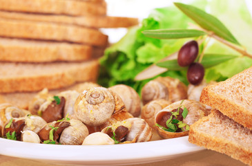 Tasty prepared escargot