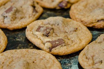 Chocolate Chip Cookie