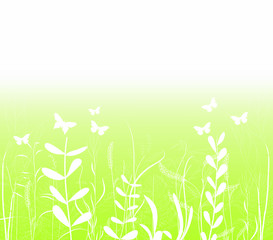 spring florals and butterfly background