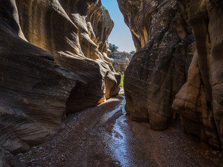 Willis Creek