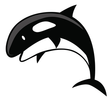 Killer Whale Cartoon