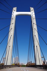 Fototapeta premium 木場公園