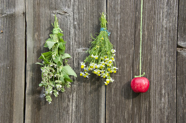 medical herbs flowers and red apple on wall