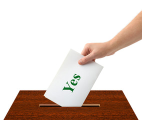 Hand with ballot and box