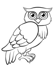 cute kind owl sitting on the tree in the forest © ya_mayka