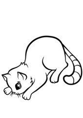 little cat sitting in the bank of the pond and looking at the fr