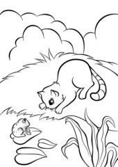 little cat sitting in the bank of the pond and looking at the fr