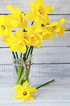colorful daffodils in a vase