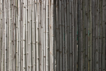 wall of bamboo