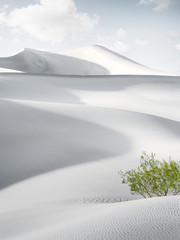 dunes