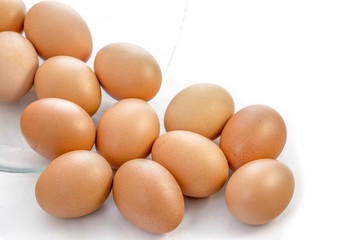 Egg