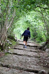 Fototapeta premium child walking alone in the Woods
