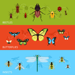 Insects banner set