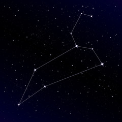 Naklejka premium Leo constellation