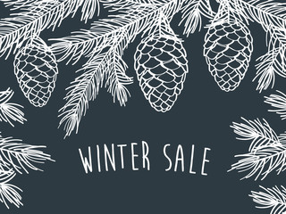 Winter sale. Winter background with pine branches with cones.