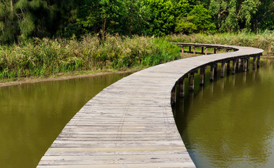 Obraz premium Footpath in countryside