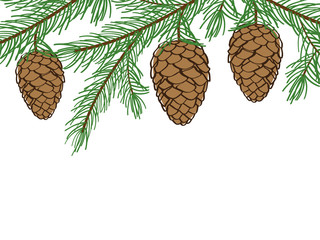 Winter background with pine branches with cones.
