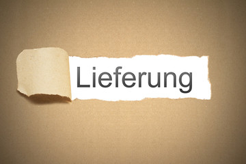 braunes Papier aufgerissen Verpackung Lieferung
