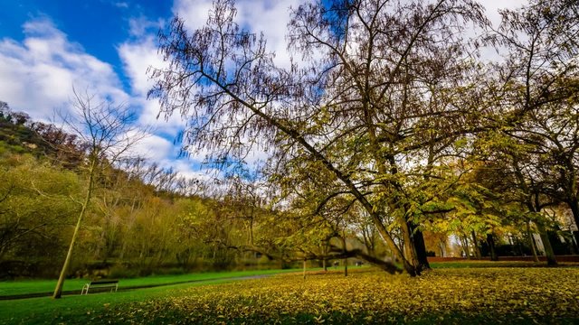 TL - BK am Kurpark 3