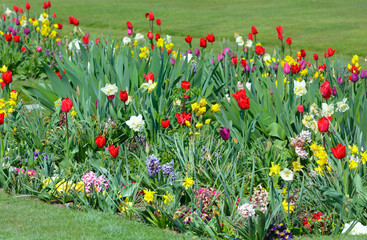 Spring flowers background