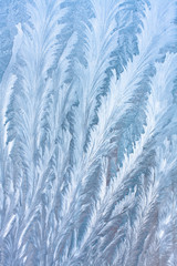 Ice patterns on the glass