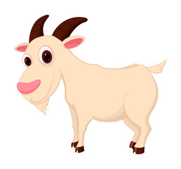 Goat cartoon