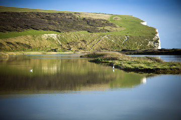 South Downs reflected