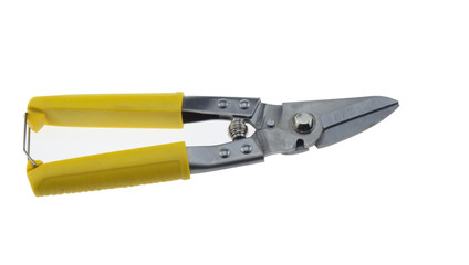 Scissors cutting branches