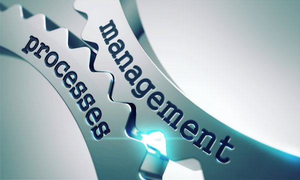 Management Process on the Gears.