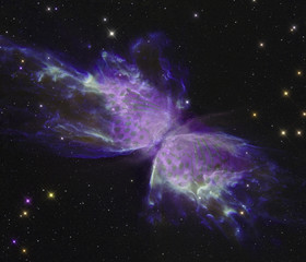 Butterfly nebula with a butterfly © CLAUDIO